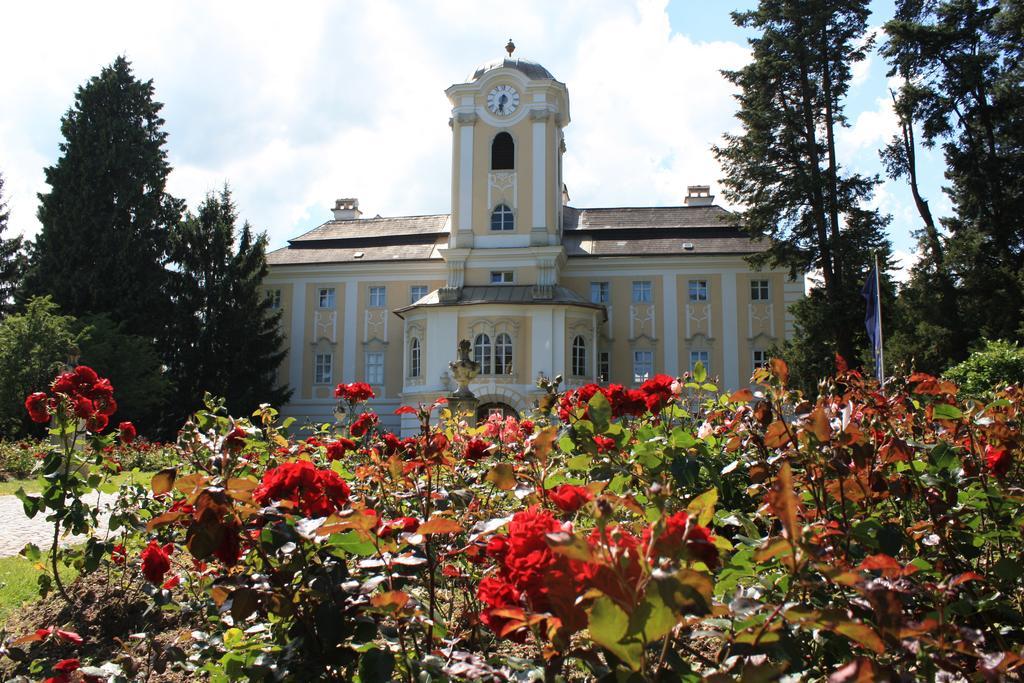 Schlosshotel Rosenau Superior Schloss Rosenau Экстерьер фото